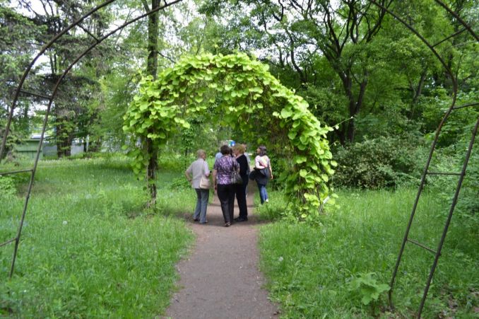 Iš kartuolės suformuota arka Minsko botanikos sode.