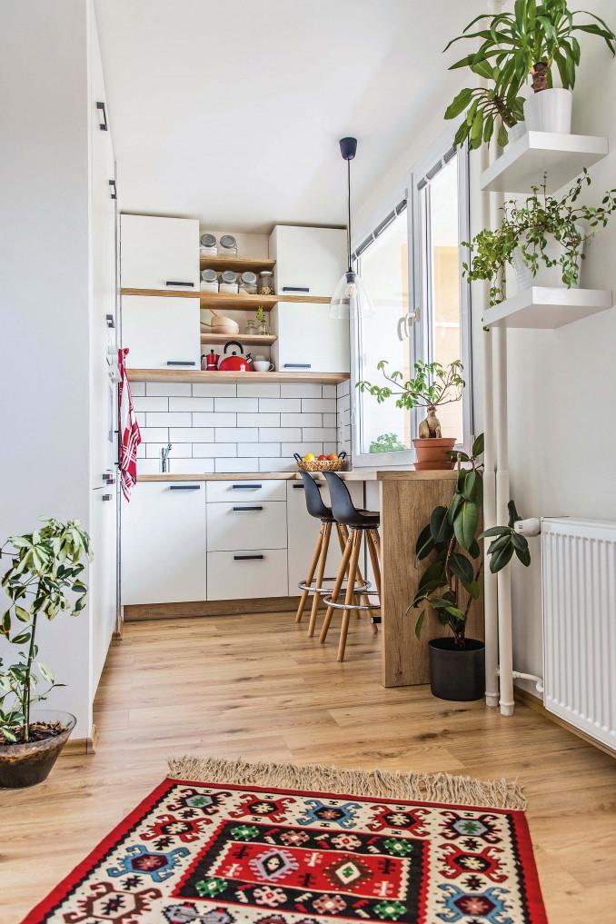 21 m² butas