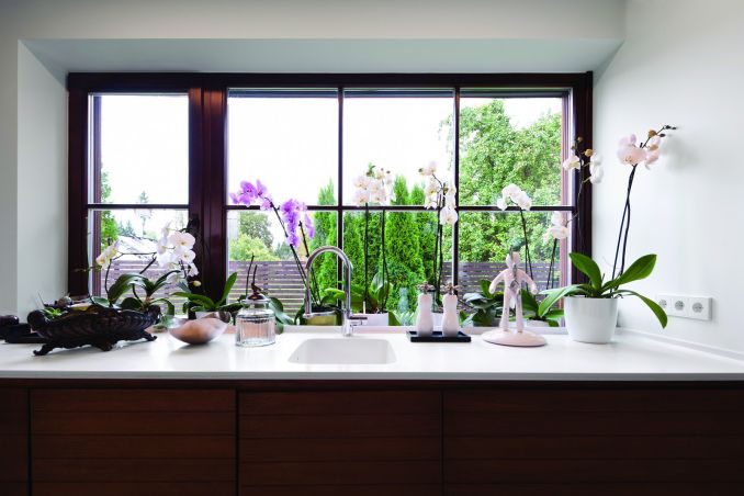 Baltą minimalistinę virtuvę pasaldina itin romantiškos gėlės - orchidėjos.